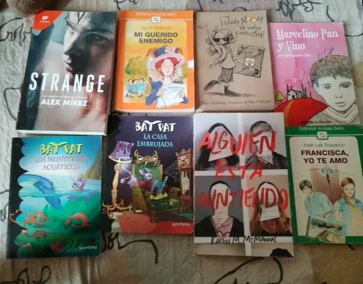 Lote de libros infantiles y juveniles - 1