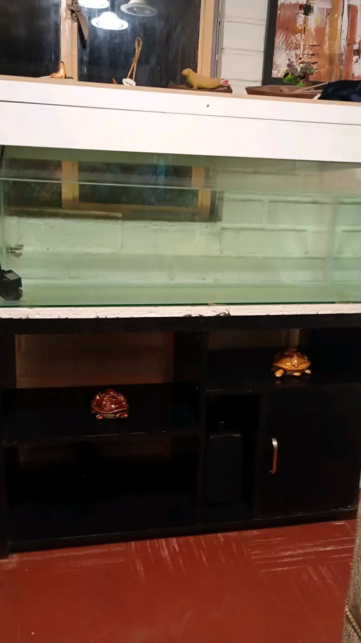 Acuario grande con mueble - 1