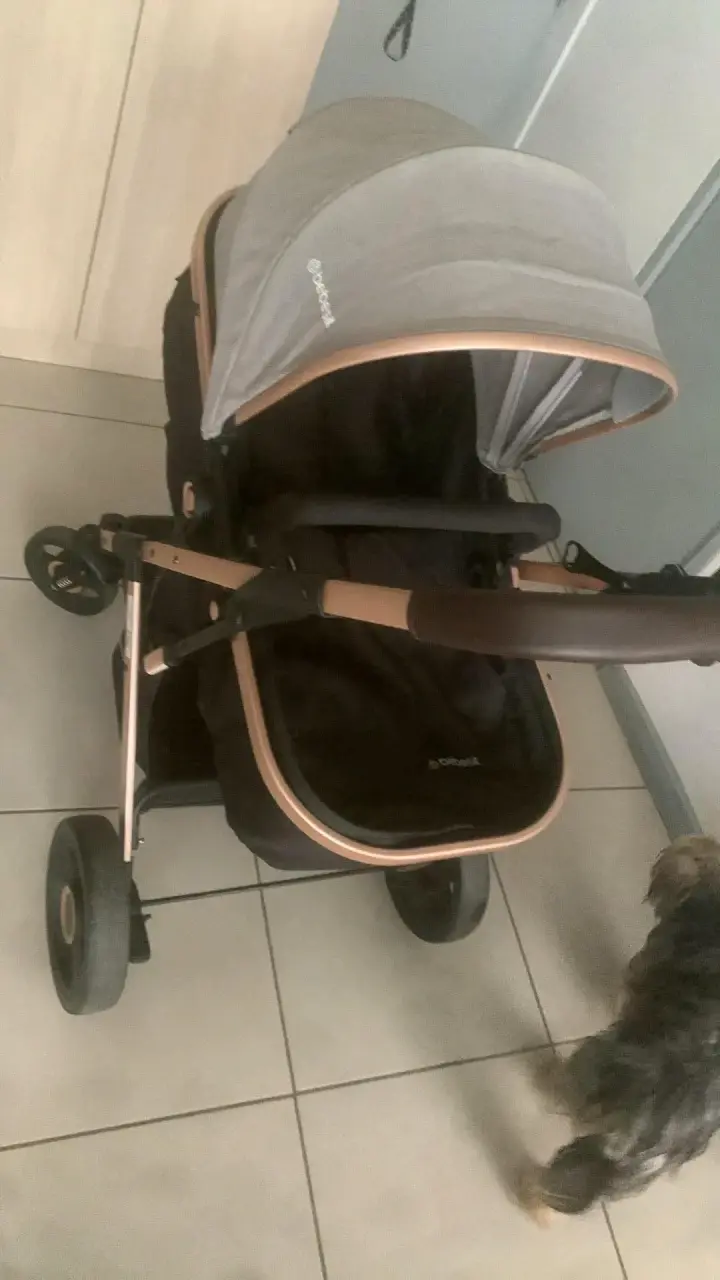 Coche de bebé Bebesit negro - 3