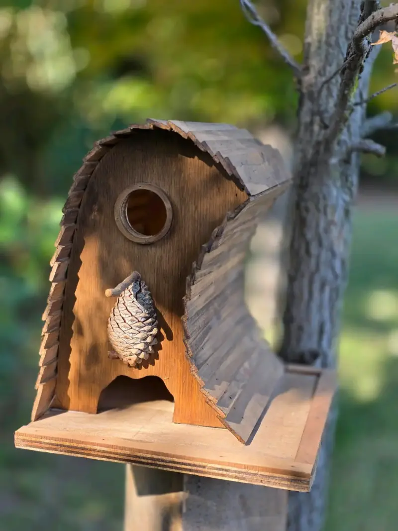 Casitas de pájaros de madera - 3