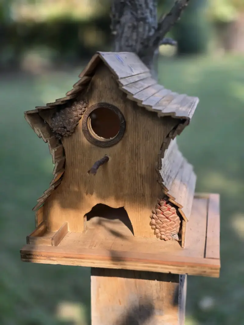 Casitas de pájaros de madera - 5
