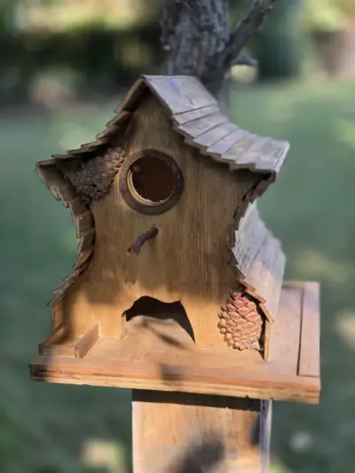 Casitas de pájaros de madera - miniatura 5
