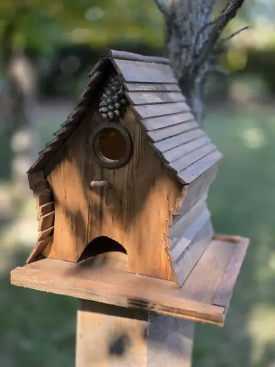 Casitas de pájaros de madera - miniatura 6
