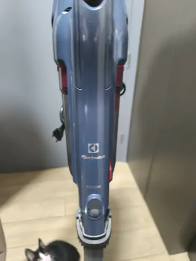 Aspiradora vertical Electrolux gris - miniatura 2