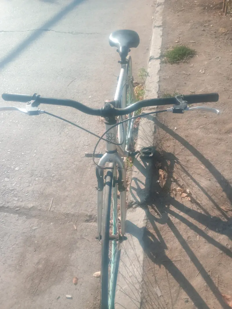 Bicicleta Scoop gris vintage - 4