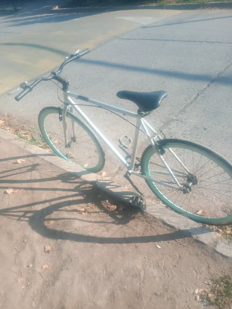 Bicicleta Scoop gris vintage - 5