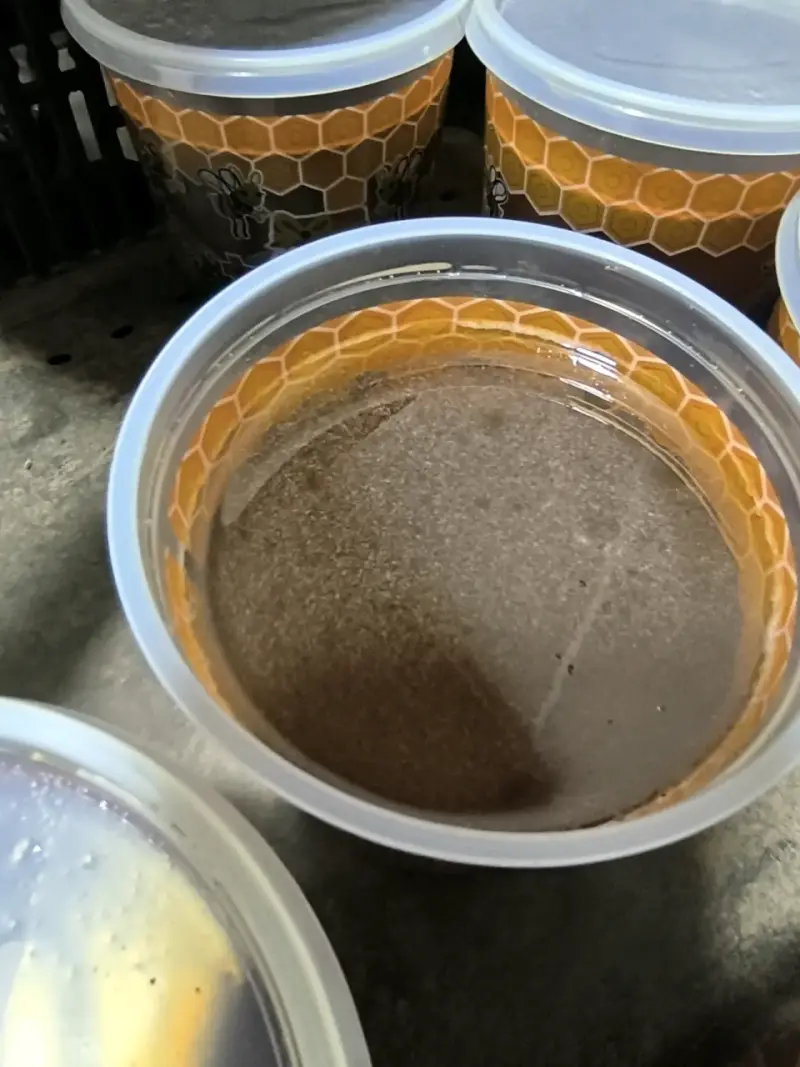 Envase de miel natural - 2