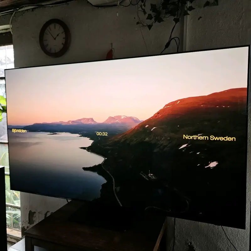 Samsung TV OLED de 65 pulgadas - 3