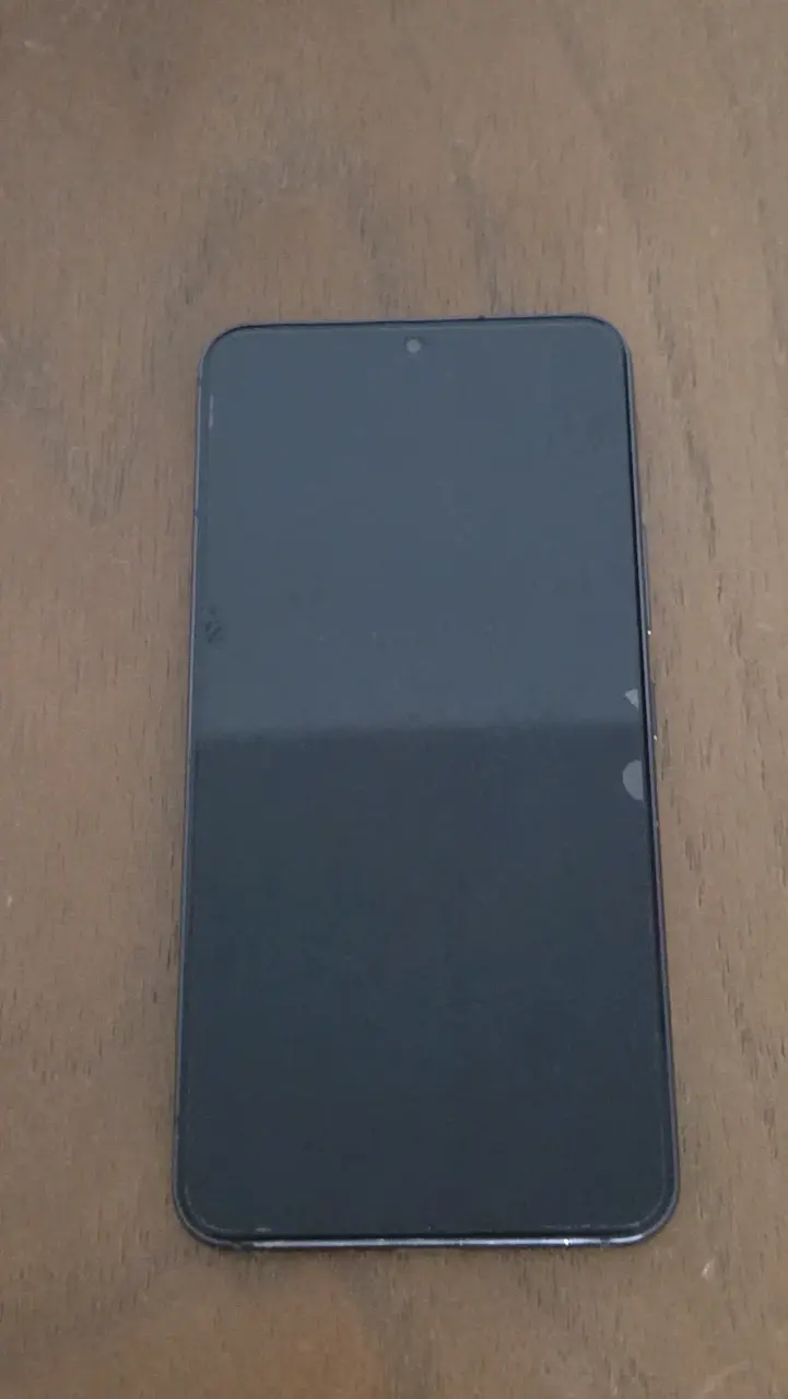 Samsung Galaxy S22 256GB — Usado