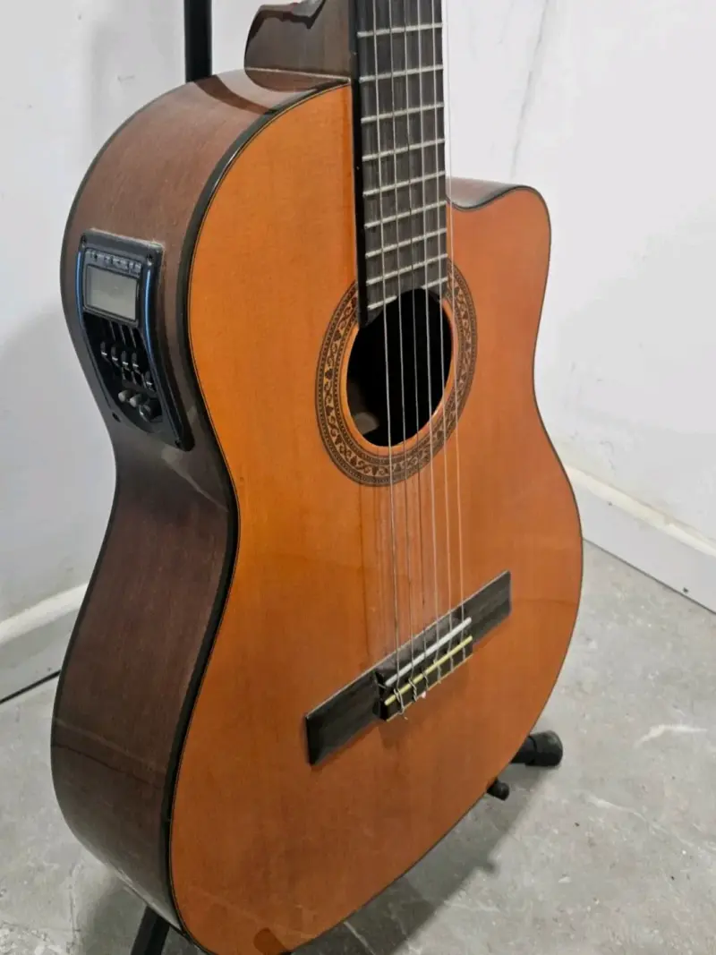 Guitarra electroacústica Freeman - 1