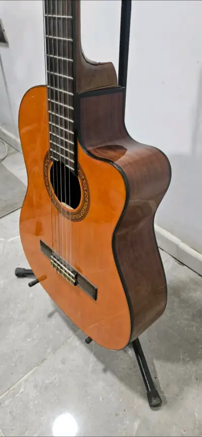 Guitarra electroacústica Freeman - miniatura 2