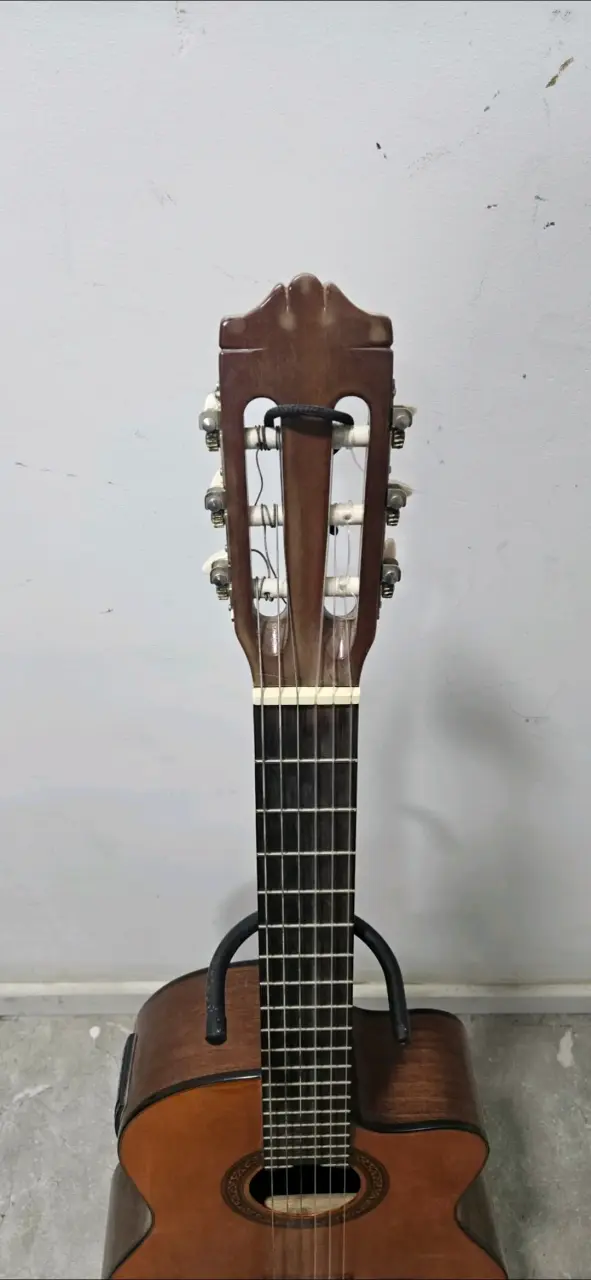 Guitarra electroacústica Freeman - 3