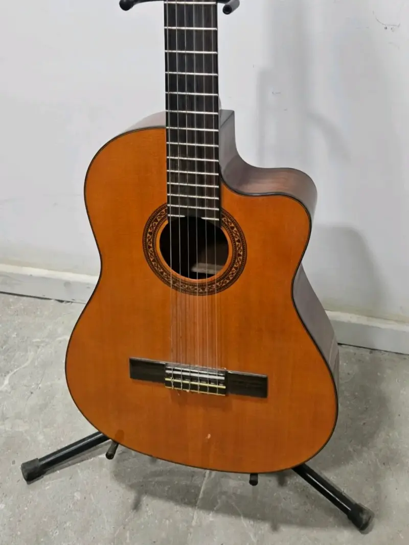 Guitarra electroacústica Freeman - 5