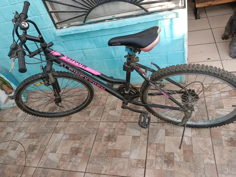 Bicicleta montaña negra y rosa - 3