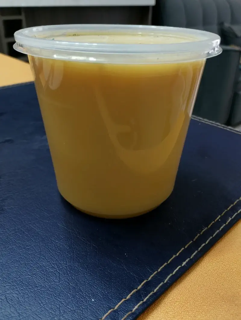 Miel envasada de Ulmo en pote plástico