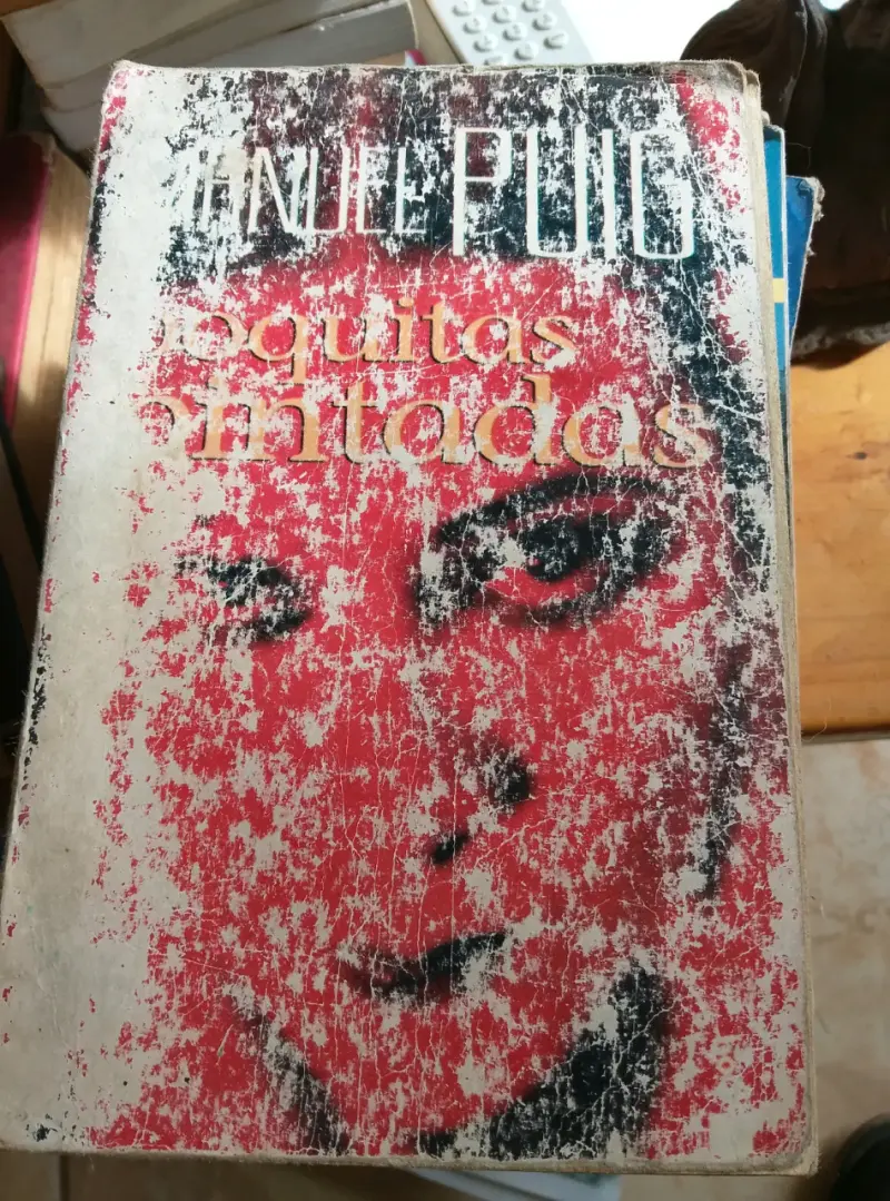 Libro 'Boquitas pintadas' usado