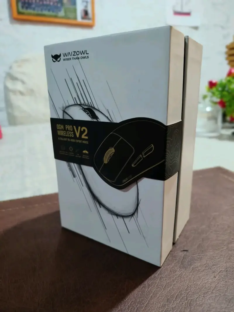 Mouse inalámbrico Waizowl Pro V2 - 2