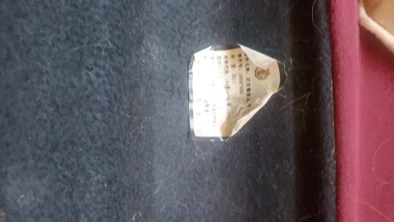 Tapa cubre maleta MG zx - 5