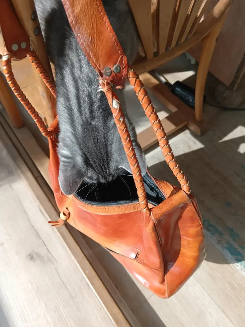 Cartera cuero naranja - 2