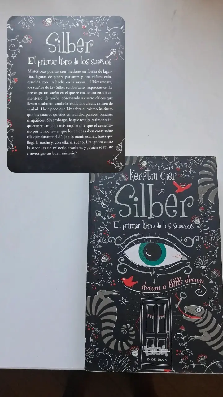 Libro Silber El primer libro de los sueños