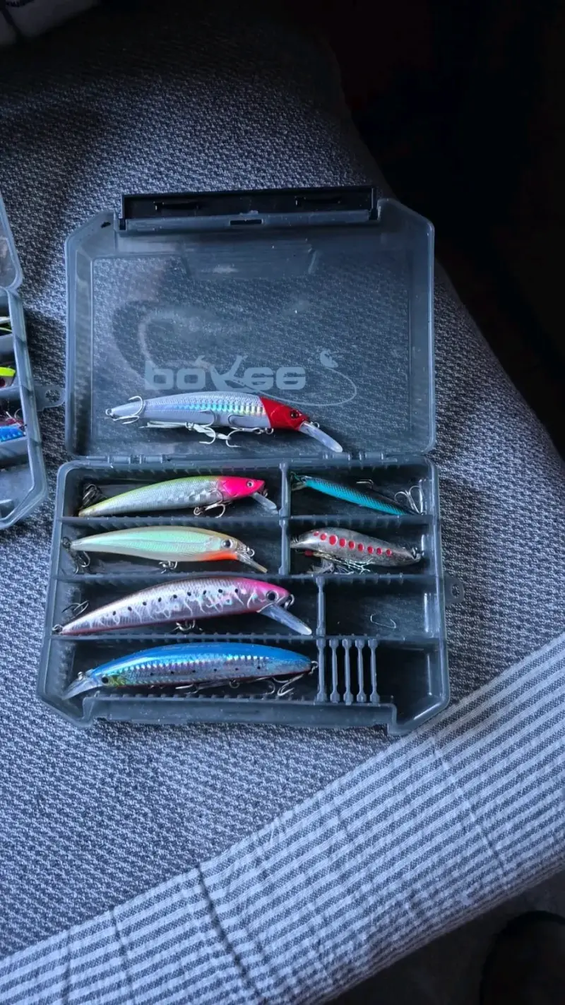 Caja de señuelos para pesca - 1
