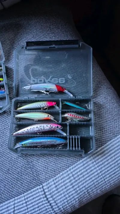 Caja de señuelos para pesca - miniatura 1