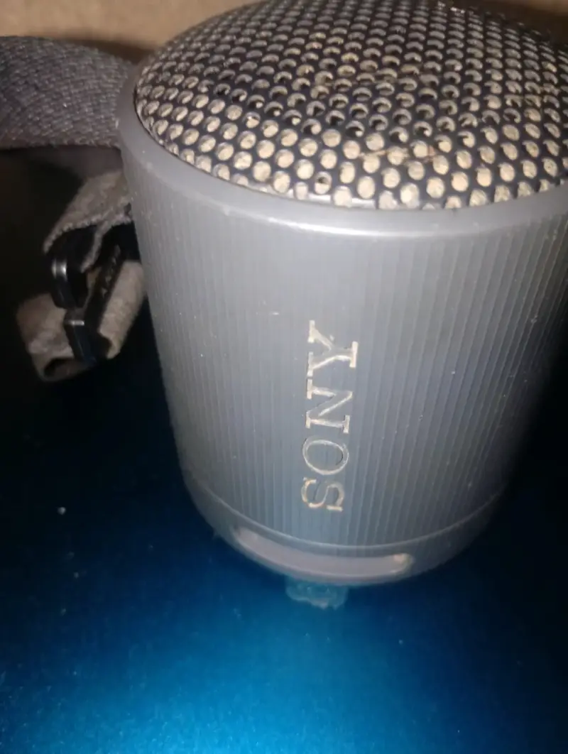 Parlante Bluetooth gris compacto Sony - 2