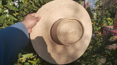 Chupalla de huaso - miniatura 2