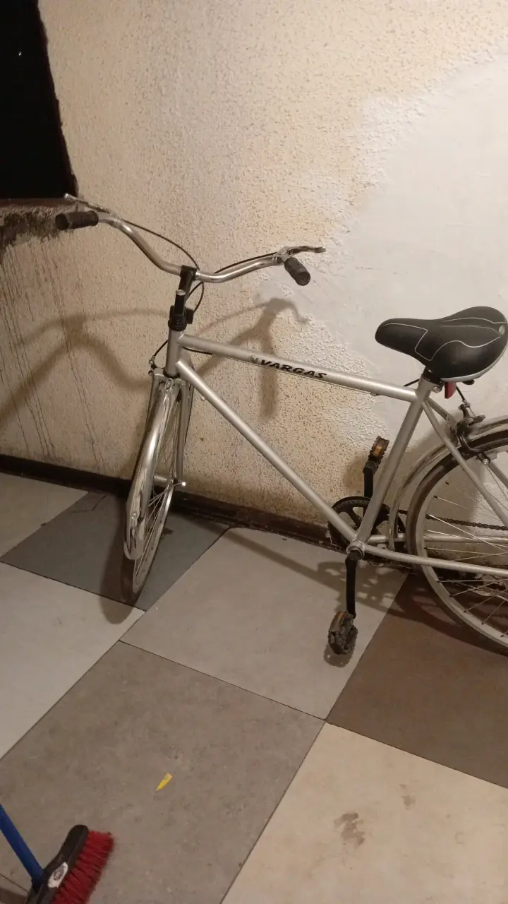 Bicicleta Vargas plateada - 1