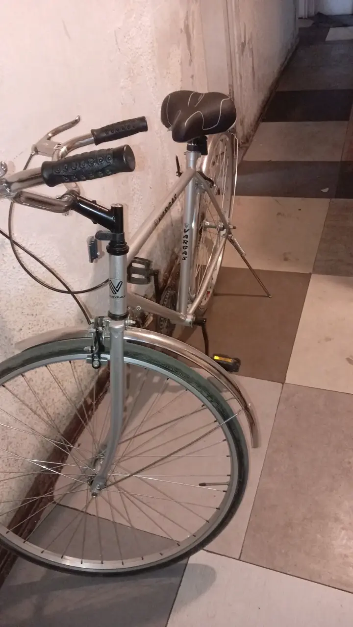 Bicicleta Vargas plateada - 2
