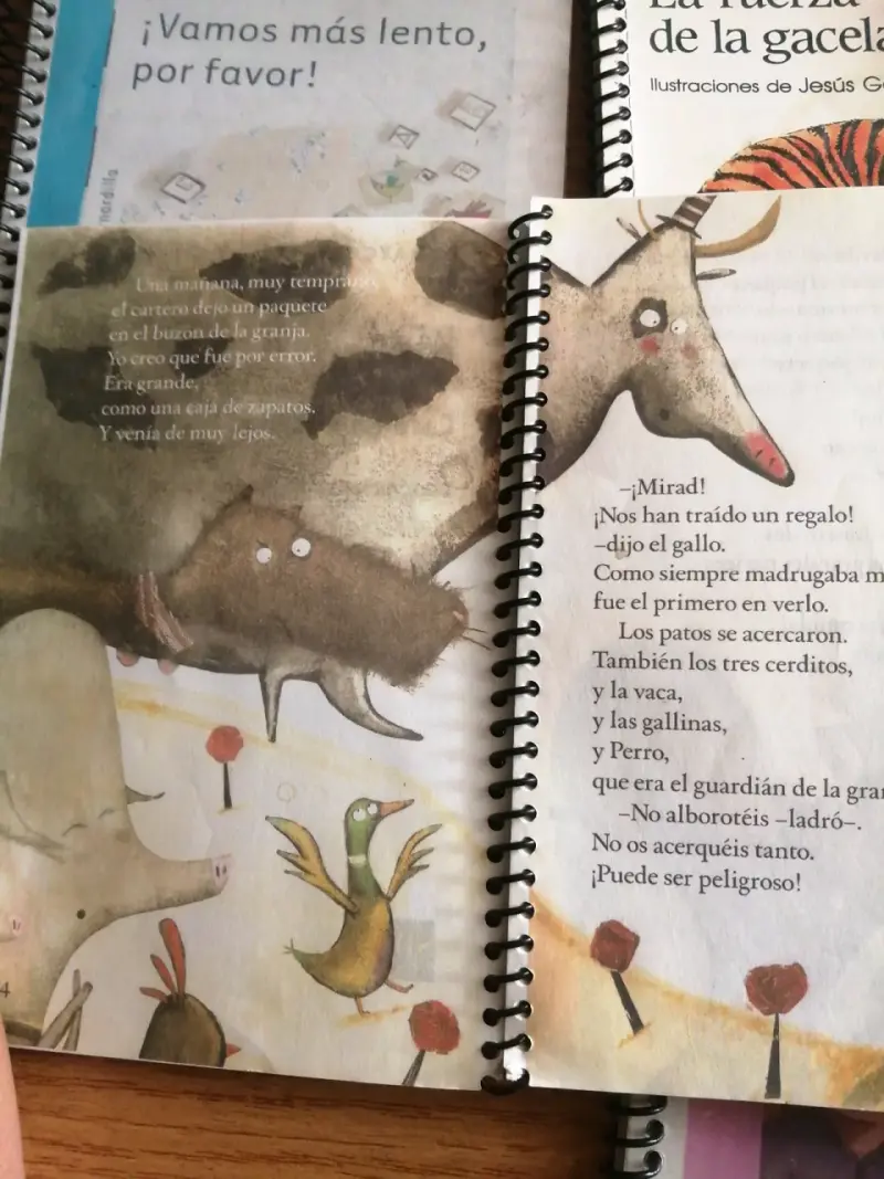 Lote copias de libros infantiles usados - 2