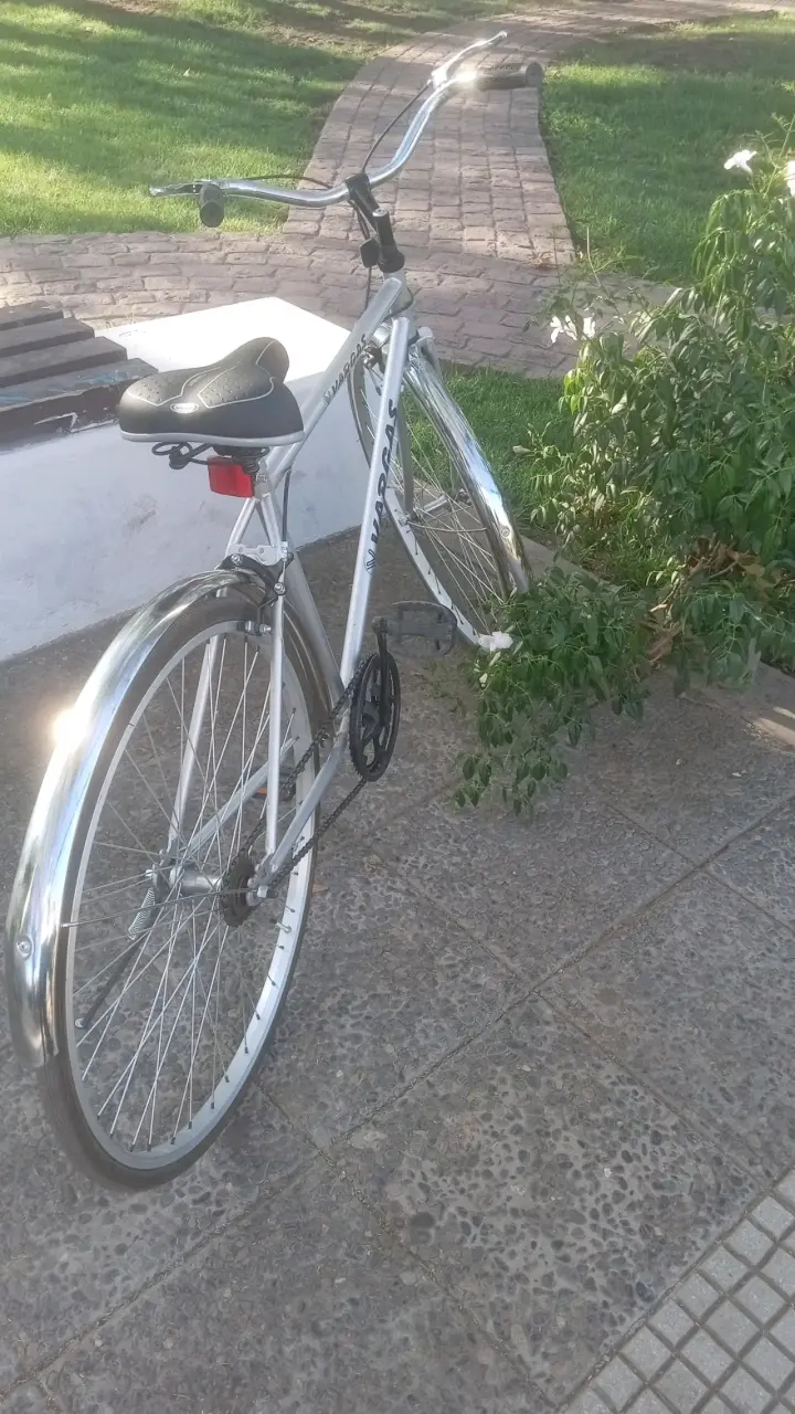 Bicicleta Vargas plateada - 3