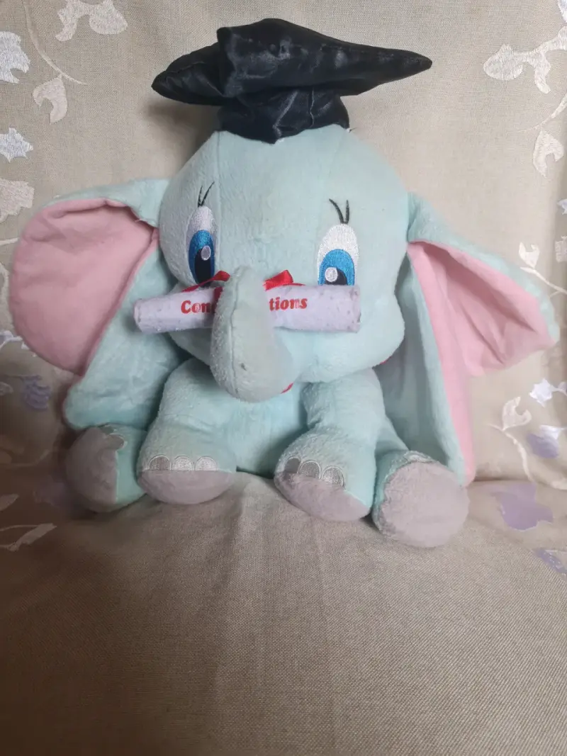 Peluches , esponjosos , famosos ,etc - 12