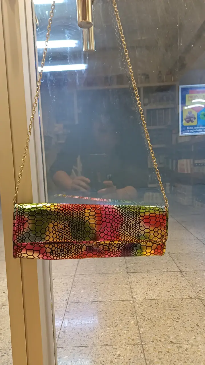 Cartera pequeña multicolor
