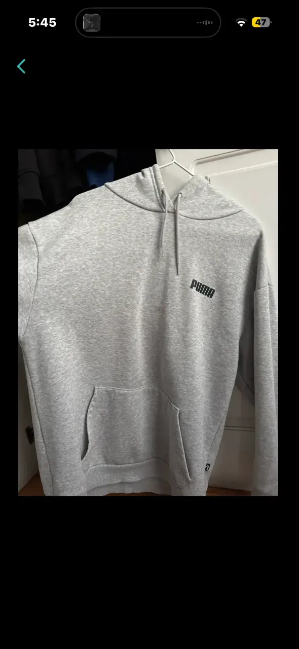 Polerón gris con capucha Puma