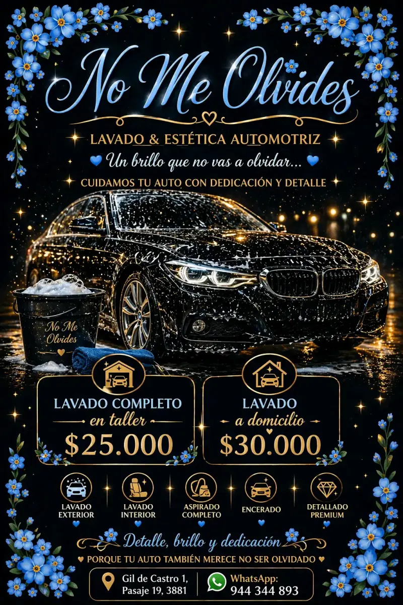 Servicio de lavado automotriz - 2