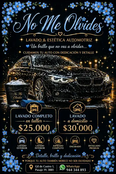 Servicio de lavado automotriz - miniatura 2