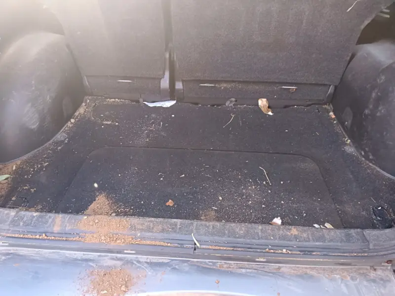 Servicio de lavado automotriz - 3