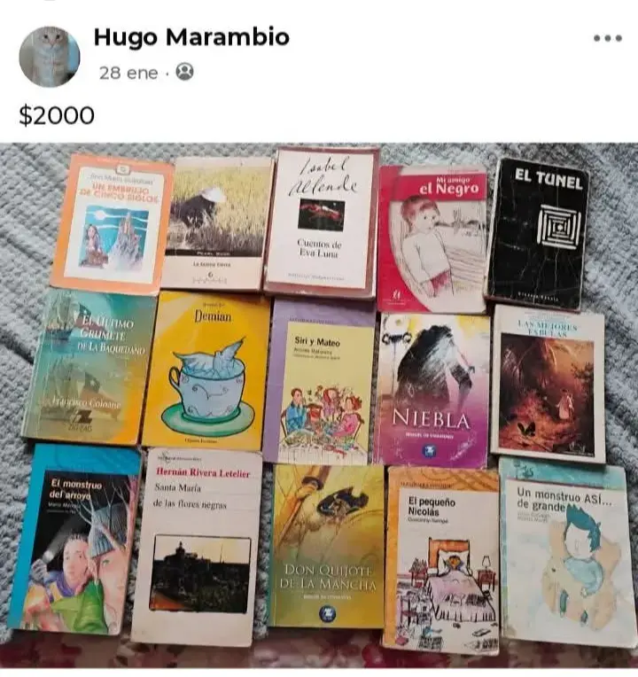 Lote de libros variados usados - 1
