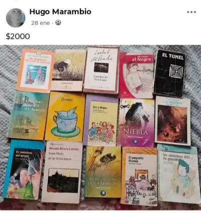 Lote de libros variados usados - miniatura 1