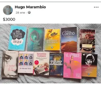 Lote de libros variados usados - miniatura 2