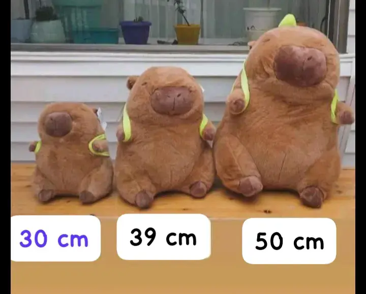 Peluches de capibara variados - 1