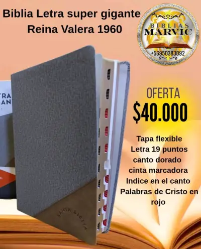 Biblia Reina Valera 1960 letra gigante - miniatura 1