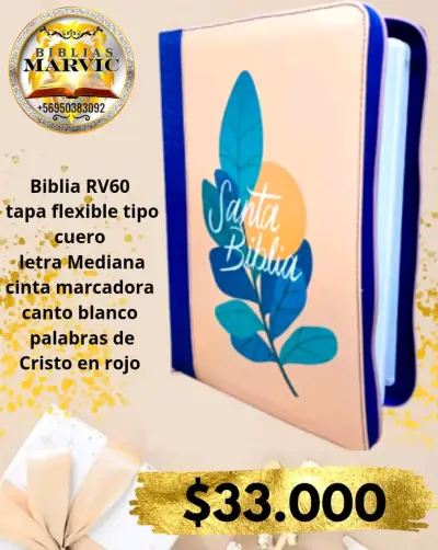 Biblia Reina Valera 1960 letra gigante - miniatura 3