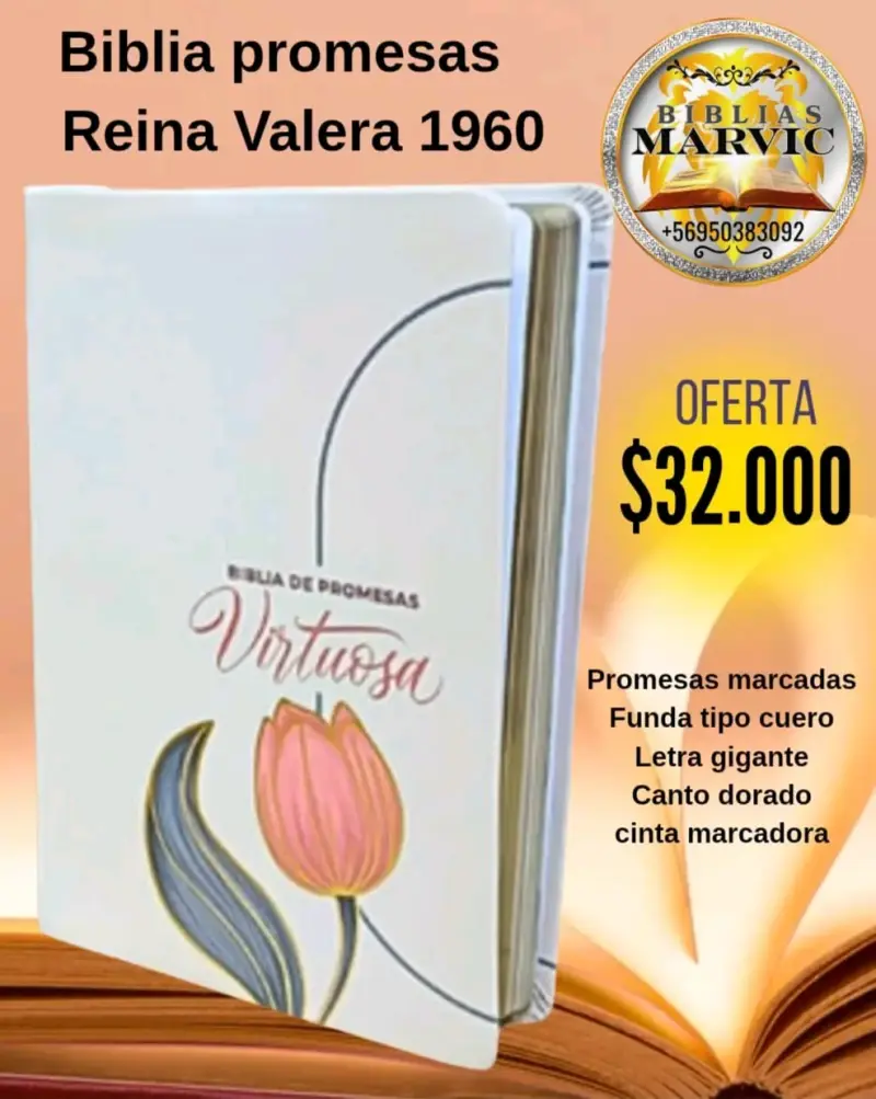 Biblia Reina Valera 1960 letra gigante - 4