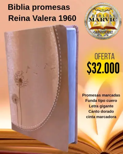 Biblia Reina Valera 1960 letra gigante - miniatura 5