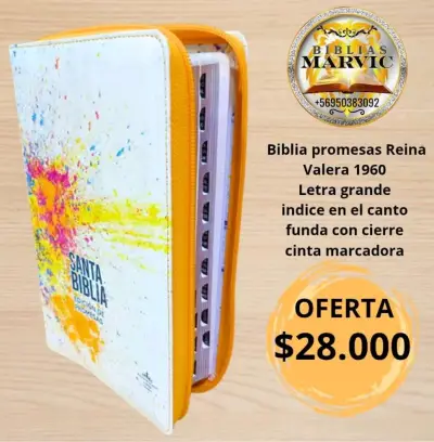 Biblia Reina Valera 1960 letra gigante - miniatura 6