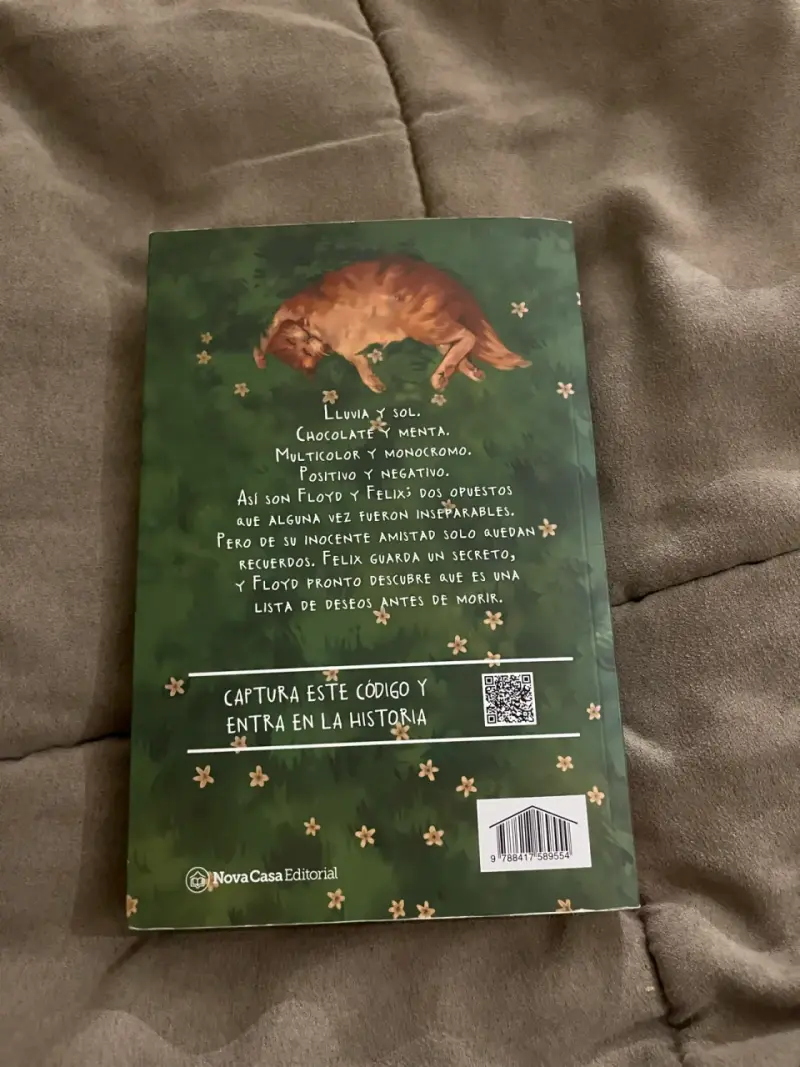 Un Beso Bajo la Lluvia - Libro - 2