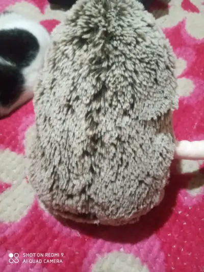Peluche de erizo con moño rojo - miniatura 2