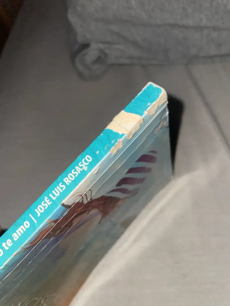 Libro 'Francisca, yo te amo' - 2